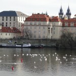 praga2