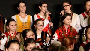 koledow53 (1)